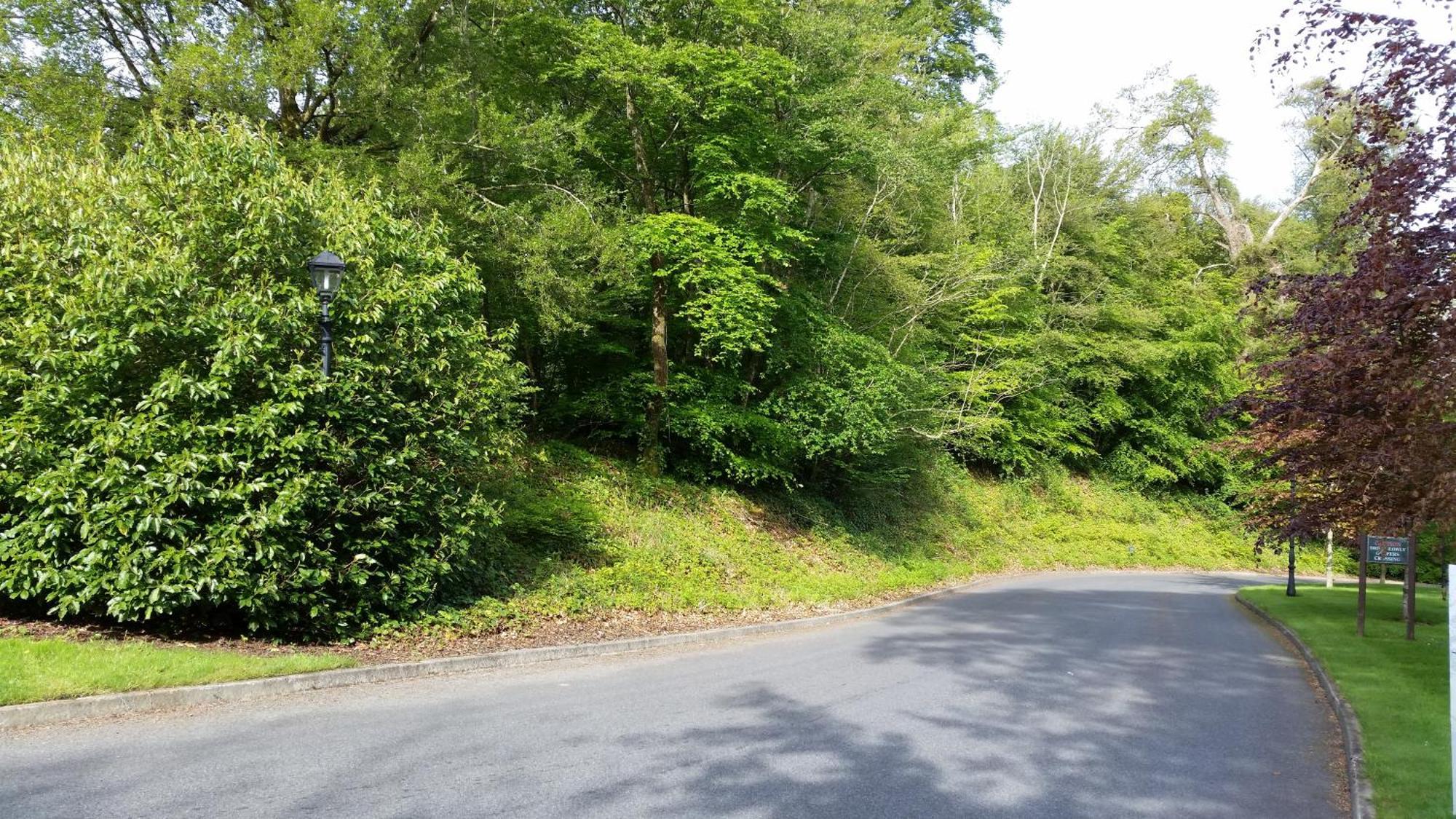 New Forest Estate Lodges Tyrrellspass 외부 사진